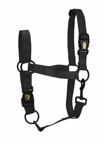 Excellent Horse Essential Halster M Pony Zwart