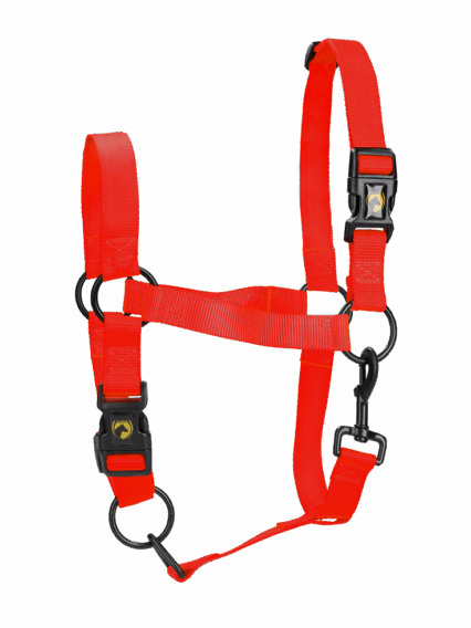 Excellent Horse Essential Halster L Cob Rood