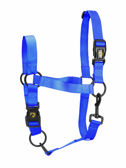 Excellent Horse Essential Halster M Pony Blauw
