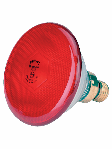 Lamp 100 W rood Philips spaar