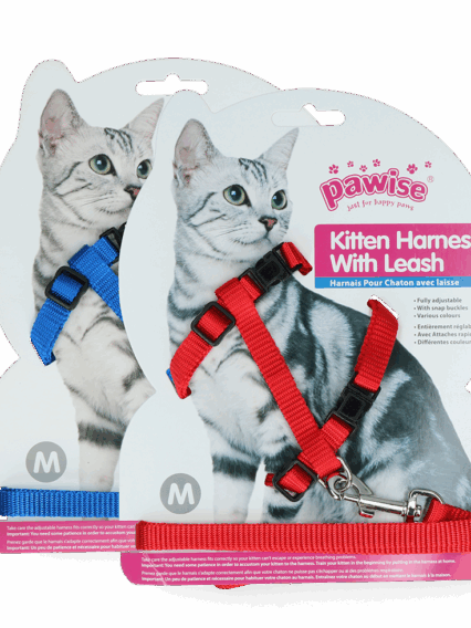 Pawise Kitten Harness Leash-Red/Blue