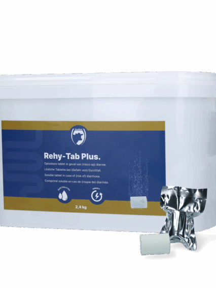 Rehy-Tab Plus (Bruistablet kalverdiarree) 48 tabl